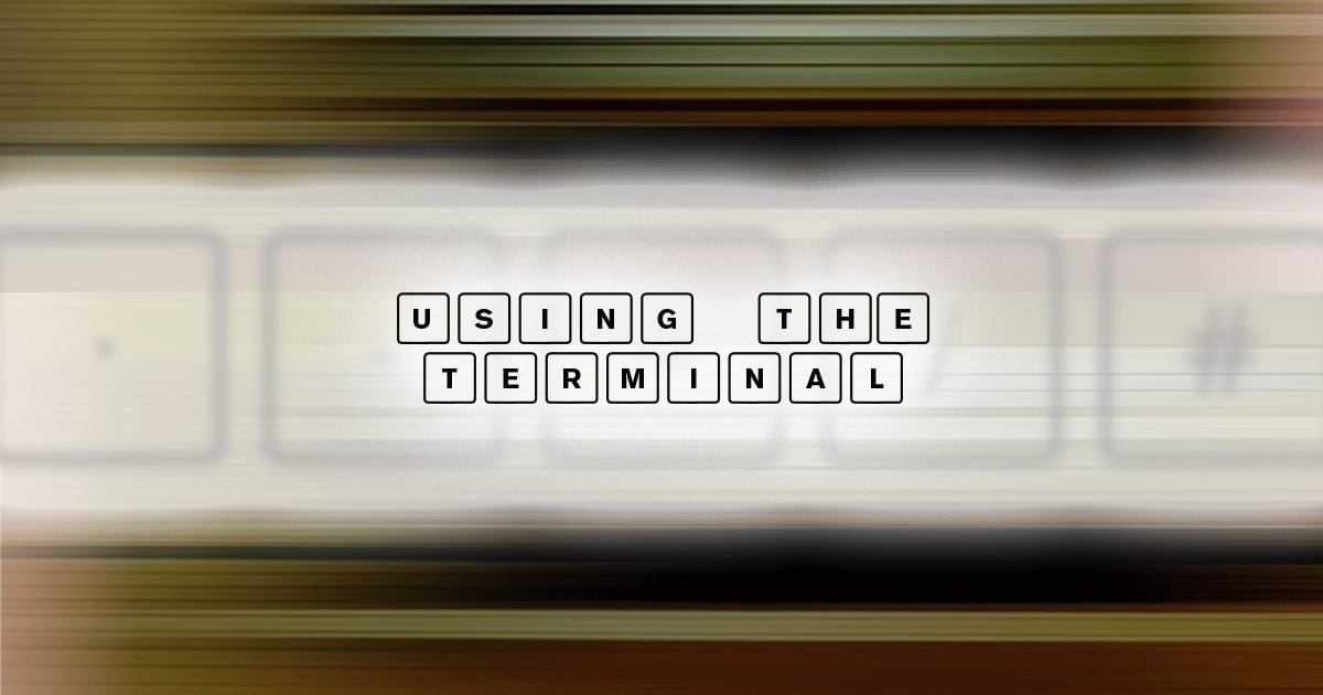 Using the Terminal Using the Terminal